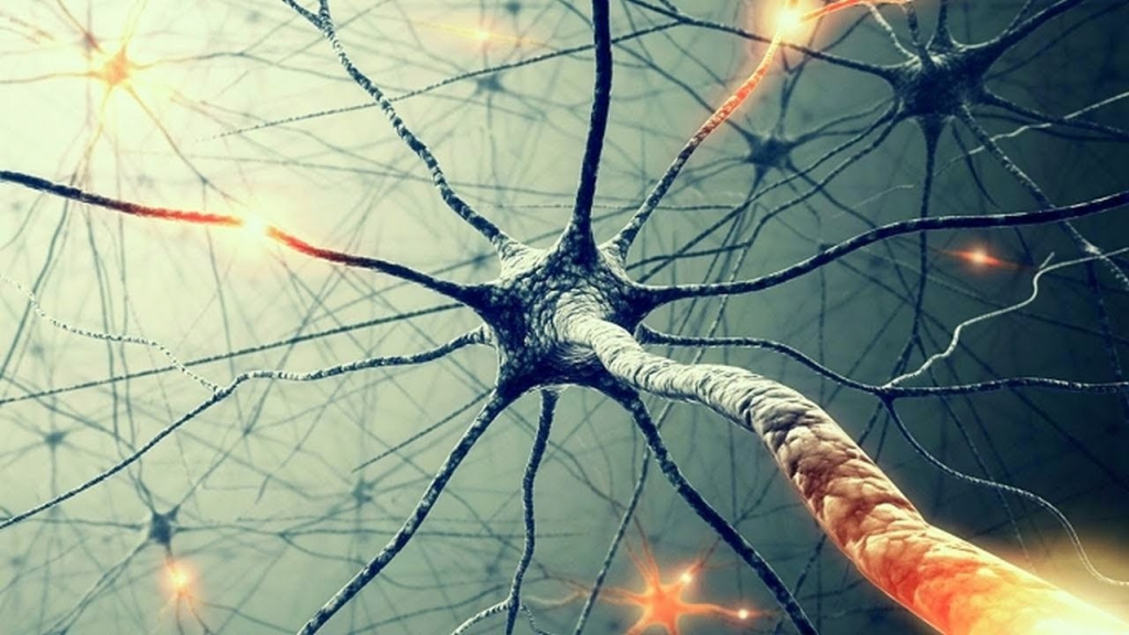 Нейронная-сеть